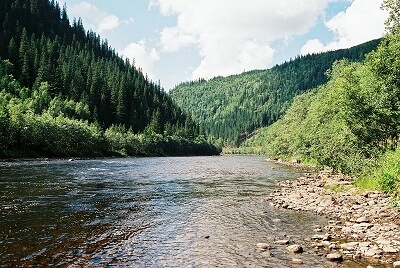 A river in the middle of a forest in Norway